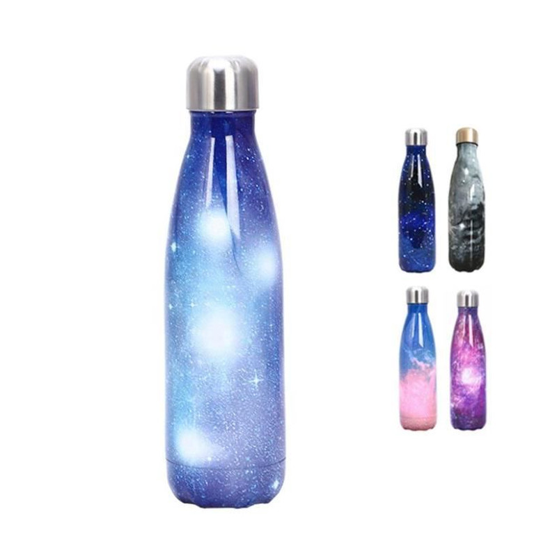 HoneyHolly Bouteille D'eau En Acier Inoxydable, 500ml Gourde INOX